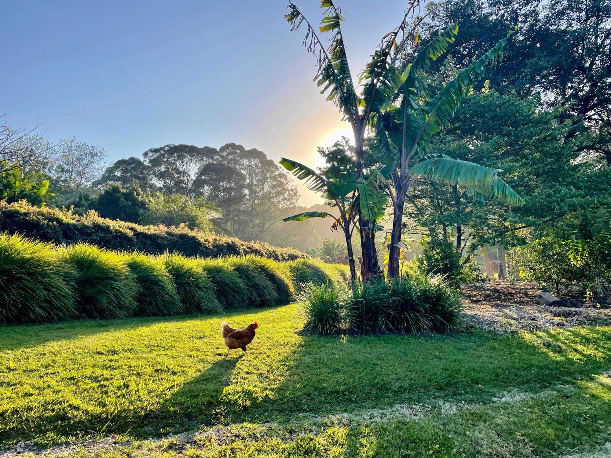 Lily Pad At Byron Bay Villa Bagian luar foto